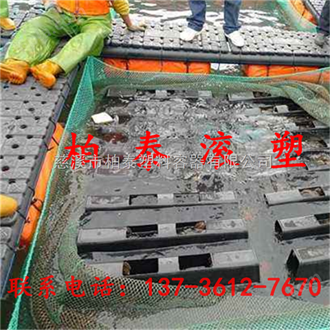 连江海上塑料渔排网箱养殖