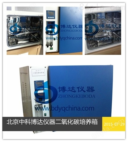 北京二氧化碳培养箱型号+宁波二氧化碳培养箱价格