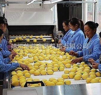 柠檬加工设备厂家